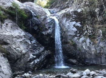 Excursión Senderismo Vernet-les-Bains - 20220803 sortie Cascades avec Émilie et Domi  - Photo