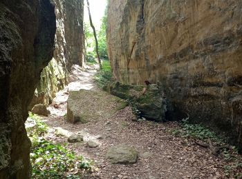 Randonnée Marche Chantemerle-lès-Grignan - les crevasses de Chantemerle - Photo