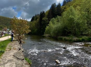 Tocht Stappen Tandel - Promenade Bettel - Vianden - Photo