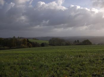 Excursión A pie Breckerfeld - Rundwanderweg Breckerfeld (nach Zurstraße) A8 - Photo