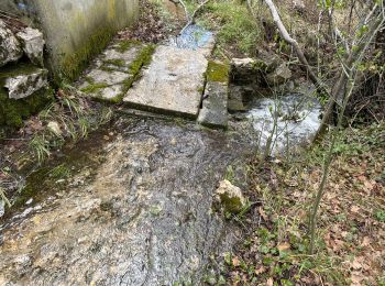 Excursión Senderismo La Bastide - Le Lachens 2024 - Photo