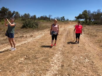 Tour Wandern Saint-Cannat - Saint Cannat 01/08/2021 - Photo