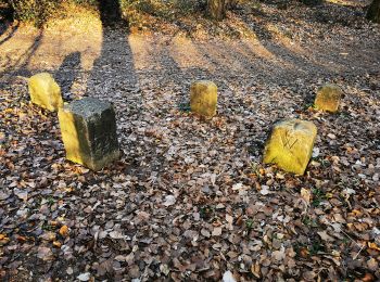 Tocht Te voet Hasselroth - Edelweißweg - Photo