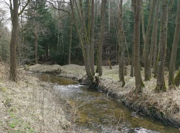 Randonnée A pied Inconnu - Dresdner Heide, Alte 1 - Photo