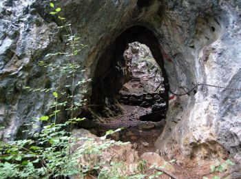 Randonnée A pied Gemeinde Schrattenbach - Schrattenbach - Ruine Schrattenstein - Flatzer Anger - Photo