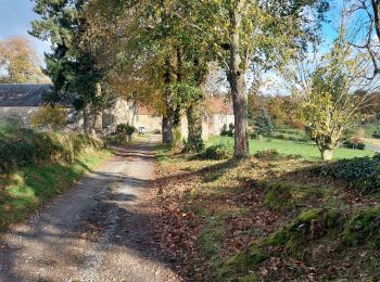 Randonnée Marche Folles - Folles - Puy Gerbon - 8 km - Photo