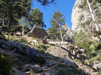 Trail Walking Quenza - tour de bavella - Photo