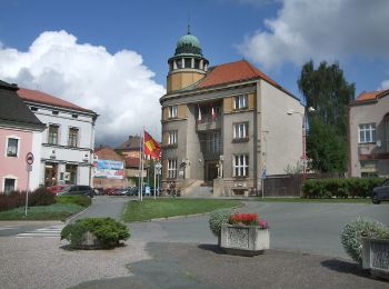 Tocht Te voet Rtyně v Podkrkonoší - [M] U Švédského vrchu - Červený Kostelec - Photo