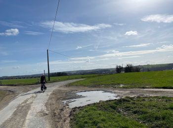 Randonnée Cyclotourisme Hamois - Scy retour - Photo