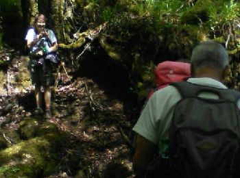 Tour Zu Fuß Gimel-les-Cascades - La chapelle Saint Etienne  de Braguse - Photo