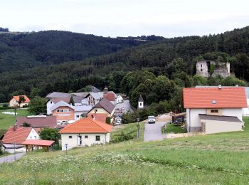 Randonnée A pied Gemeinde Lichtenegg - Hollenthon - Pesendorf - Stickelberg - Fuchsbauer - Hollenthon - Photo