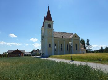 Randonnée A pied Gemeinde Lichtenegg - Edlitz (Bahnhof) - Kaltenberg - Photo