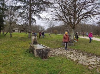 Randonnée Marche Moussey - Baronne - Photo