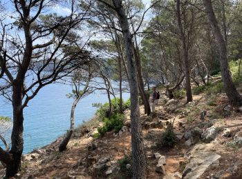 Tocht Stappen Torroella de Montgrí - Cala de Montgo - Photo