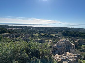 Tour Wandern Leucate - Leucate par la rive de l’étang / le château  - Photo