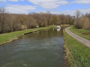 Randonnée V.T.T. Langatte - 09-04-22 etang du stock vers etang de Mittersheim - Photo