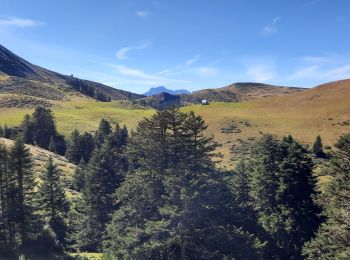 Tocht Stappen Sarrancolin - Mountarrouy en boucle depuis la station de Nistos  - Photo