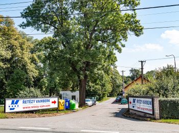 Percorso A piedi Vamberk - [Ž] Vamberk (ŽST) - Na Vyhlídce - Photo