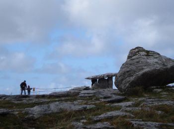 Tour Zu Fuß West Clare Municipal District - Mullaghmore loop blue - Photo