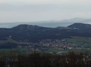 Randonnée A pied Dulliken - Kölliker Tann - Chessel - Engelberg - Photo