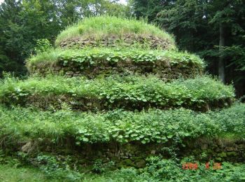 Excursión A pie Gemeinde Groß Gerungs - Steinpyramide - Wanderweg 30 - Photo