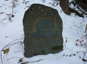 Tocht Te voet Dürrhennersdorf - Schönbacher Ringwanderweg - Photo