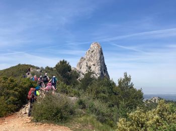 Tocht Stappen Mimet - Rando simiane - Photo