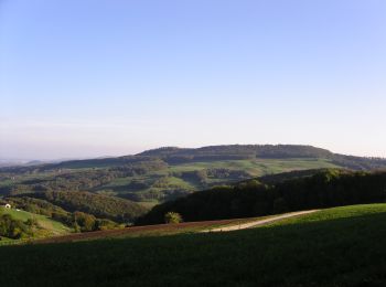 Tour Zu Fuß Thalheim - Aelmhard - Staffelegg Parkplatz - Photo