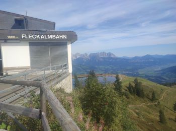 Percorso Marcia Gemeinde Kirchberg in Tirol - Kirchberg - Pengelstein - Photo