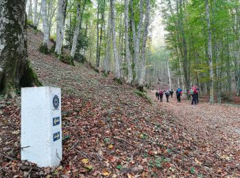 Trail On foot San Lucido - (SI U25) Passo della Crocetta - Caserma Forestale di Cinquemiglia - Photo
