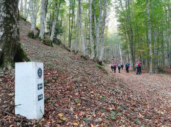 Excursión A pie San Lucido - (SI U25) Passo della Crocetta - Caserma Forestale di Cinquemiglia - Photo