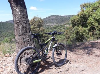 Percorso Mountainbike La Londe-les-Maures - massif maures en partant de la londe - Photo