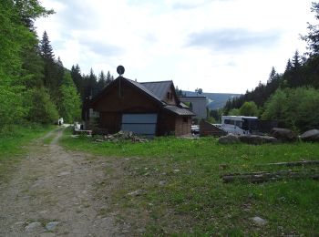 Tour Zu Fuß Spindlermühle - [Ž] U Dívčí lávky - Petrovka - Photo