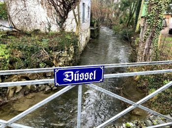 Randonnée A pied Haan - Gruiten Rundweg A1 - Photo