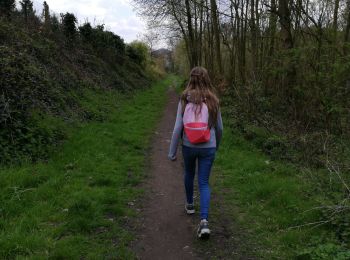 Percorso Marcia Morlanwelz - promenade bois et parc de mariemont - Photo