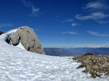 Tour Schneeschuhwandern Lans-en-Vercors - pic st michel - Photo