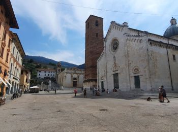 Tocht Stappen Massa - CR_Francigena_CJ_33_Massa_Camaiore_20220617 - Photo