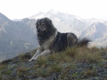 Tocht Te voet Sers - rando lac bleu Misty - Photo