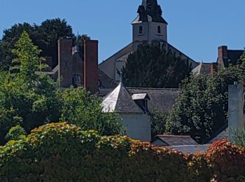 Randonnée V.T.C. Les Garennes-sur-Loire - R / Etape 3 - de Juigné à Denée - Photo