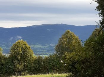 Tour Wandern Valromey-sur-Séran - réservoir  - Photo