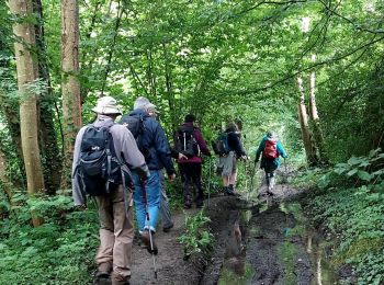 Trail Walking La Ferté-sous-Jouarre - LaFerteSousJouarre-boucle-2-6-2024-20Km - Photo