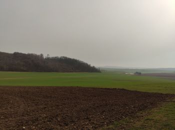 Randonnée Marche Vic-sur-Seille - Bezange la Grande - Photo