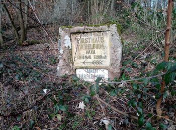 Randonnée A pied Neckarsteinach - Rundwanderweg Neckarsteinach 2: Lanzenbach-Weg - Photo