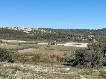 Trail Walking Éguilles - Eguilles - Photo