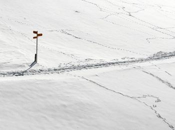 Randonnée A pied Schwarzenberg - Grosse Welt - Photo