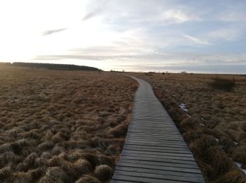 Tocht Stappen Waimes - la grande ronde des fagnes - Photo