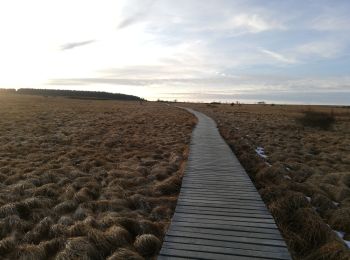 Tour Wandern Weismes - la grande ronde des fagnes - Photo