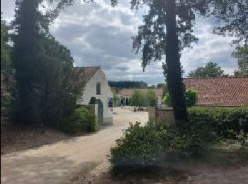 Tour Wandern La Hulpe - Domaine Solvay (La Hulpe) - Forêt de Soignes - Photo