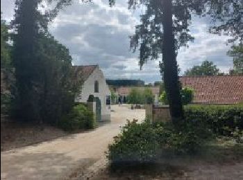 Randonnée Marche La Hulpe - Domaine Solvay (La Hulpe) - Forêt de Soignes - Photo