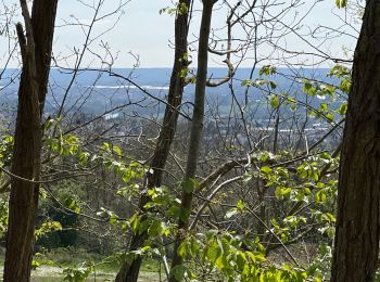 Trail Walking Cormeilles-en-Parisis - Aller-Retour - Le balcon de l'Ile de France - Cormeilles en Parisis - Photo